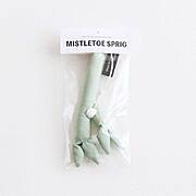 TIPTOE ヤドリギのオーナメント〈ライトグリーン・小枝〉 